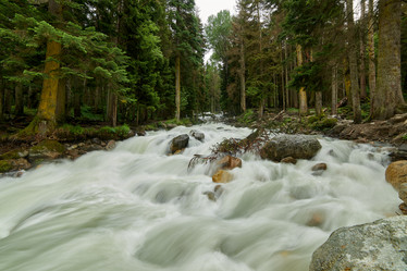 Similar image 21552899