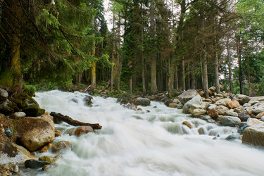 Similar image 21552903