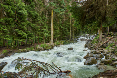 Similar image 21552904