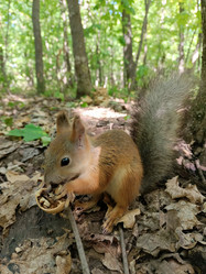 Similar image 21552741