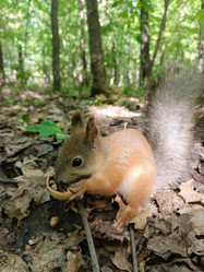 Similar image 21552742