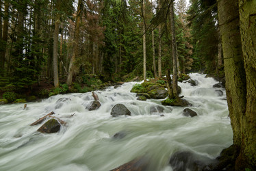 Similar image 21553011