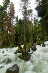 Similar image 21553019