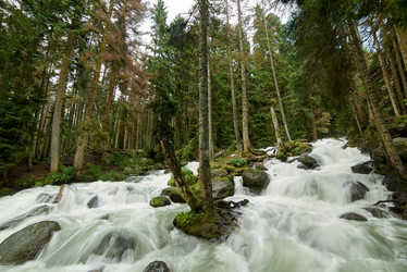 Similar image 21553020