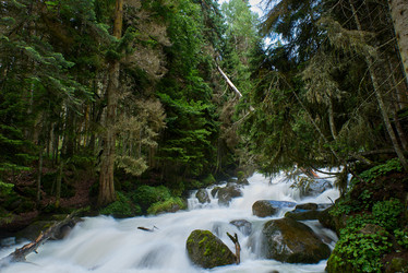 Similar image 21553028