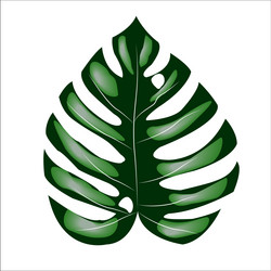 Similar image 21552750