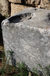 Similar image 21555168