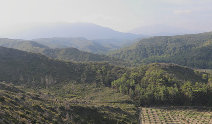 Similar image 21554974