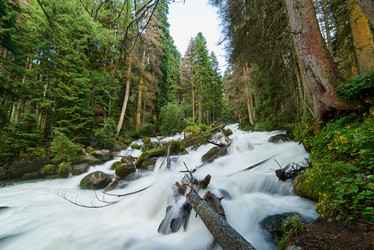 Similar image 21553035