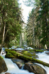 Similar image 21553043