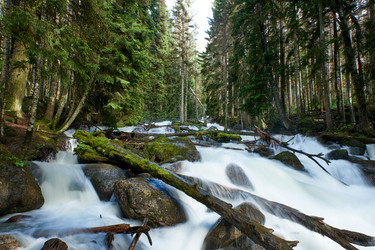 Similar image 21553044