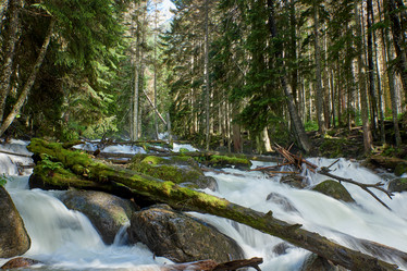 Similar image 21553047