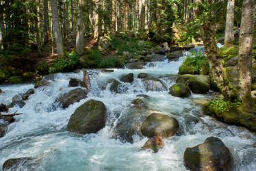 Similar image 21553048