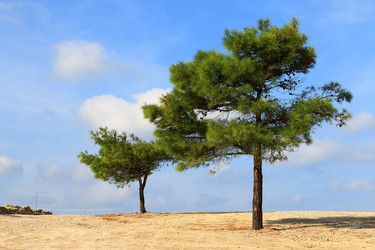 Similar image 21556275