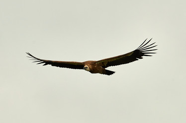 Similar image 21553297