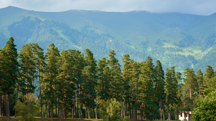 Similar image 21553316