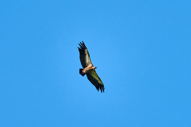 Similar image 21553317