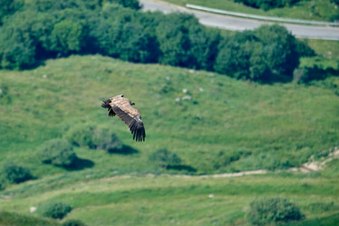 Similar image 21553319