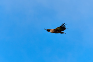 Similar image 21553320