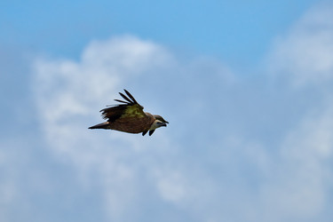 Similar image 21553321