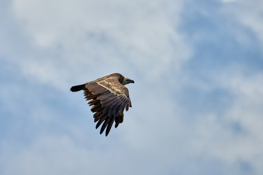 Similar image 21553322