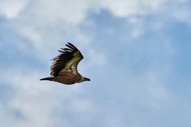 Similar image 21553323