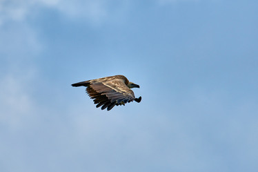 Similar image 21553324