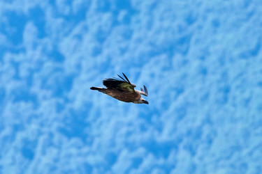 Similar image 21553325