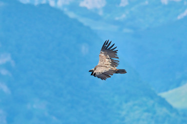 Similar image 21553327