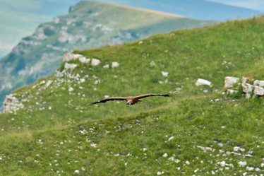 Similar image 21553330