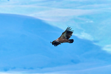 Similar image 21553331