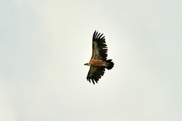 Similar image 21552915