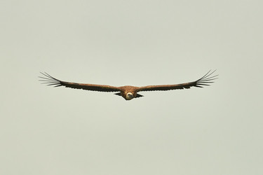 Similar image 21552916