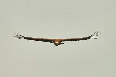 Similar image 21552917