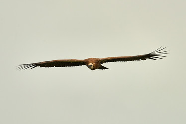 Similar image 21552918