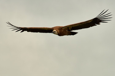 Similar image 21552920