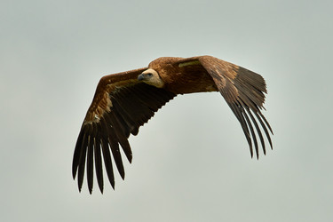 Similar image 21552921