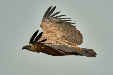 Similar image 21552924