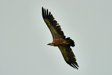 Similar image 21552928