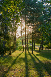 Similar image 21552933