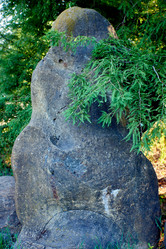 Similar image 21552940