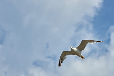 Similar image 21552942