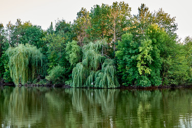 Similar image 21553098