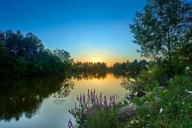 Similar image 21553110