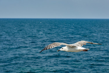 Similar image 21553111