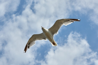 Similar image 21553119