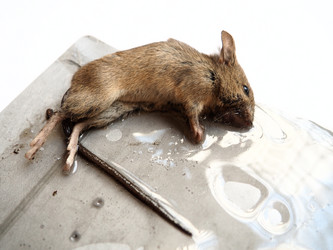 Similar image 21621361