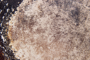 Similar image 21553423