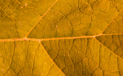 Similar image 21553424