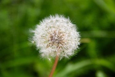 Similar image 21553433